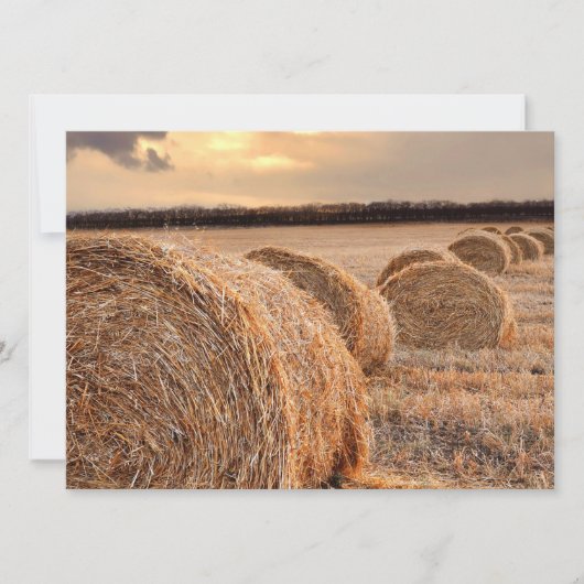 Rolls des Heus Einladung (Vorderseite)