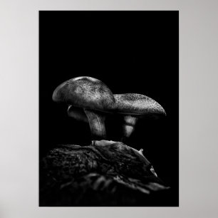 Rollstühle auf dem Weg Nr. 5 Poster