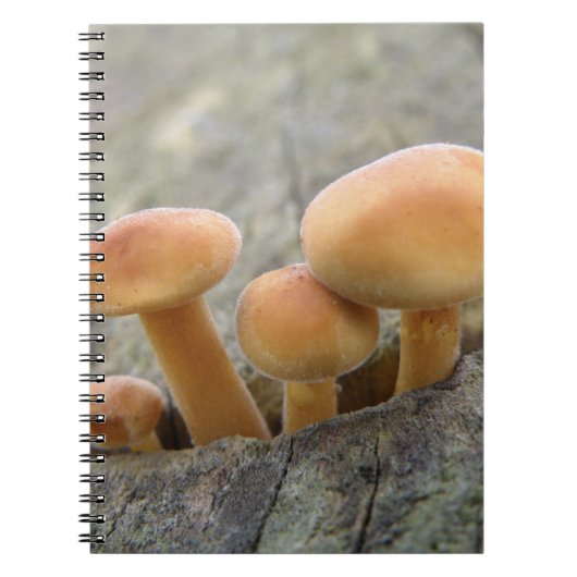 Rollstühle auf einem Tree Trunk-Notebook Notizblock (Vorderseite)