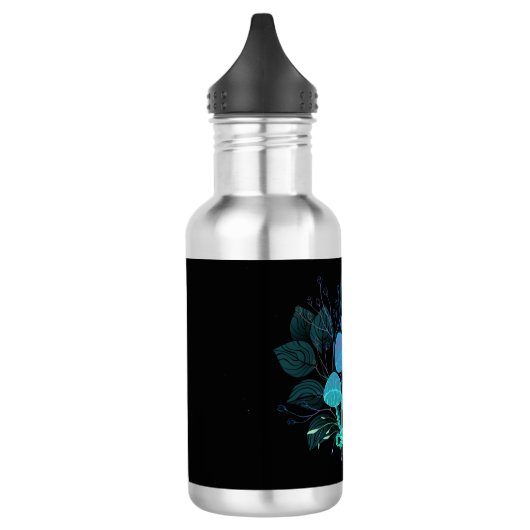 Rollstühle in Bushes Edelstahlflasche (Links)