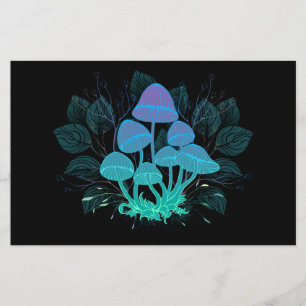 Rollstühle in Bushes Flyer