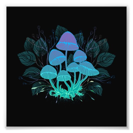 Rollstühle in Bushes Fotodruck (Vorne)