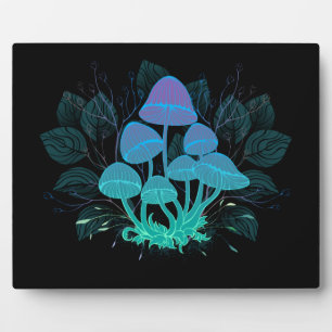 Rollstühle in Bushes Fotoplatte