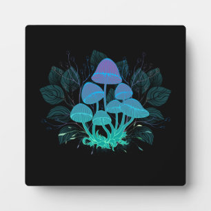 Rollstühle in Bushes Fotoplatte