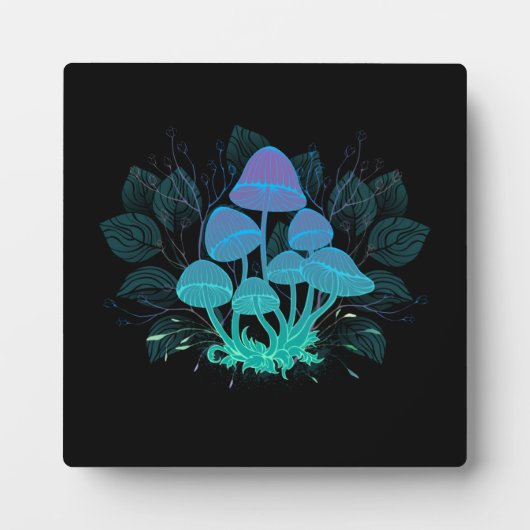 Rollstühle in Bushes Fotoplatte (Vorderseite)