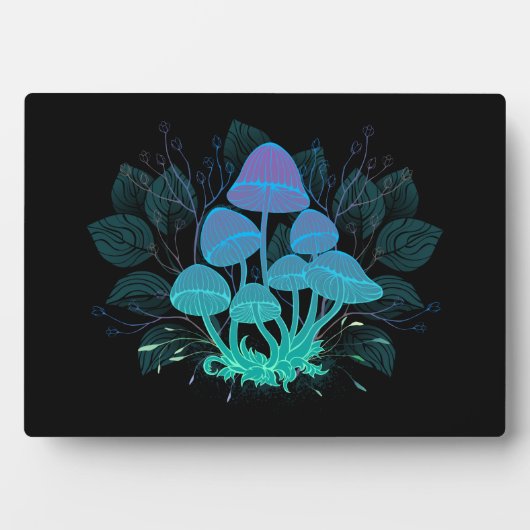 Rollstühle in Bushes Fotoplatte (Vorderseite)