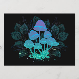 Rollstühle in Bushes Programm