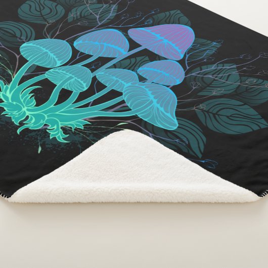 Rollstühle in Bushes Sherpadecke (3/4)