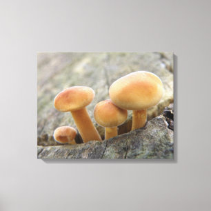 Rollstuhlfahrer auf einem Baumstamm-Canvas drucken Leinwanddruck