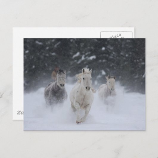 Rollthunder Postkarte (Vorne/Hinten)