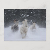 Rollthunder Postkarte (Vorderseite)