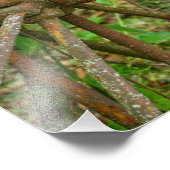 Rollzeit der Räder Fotodruck (Ecke)