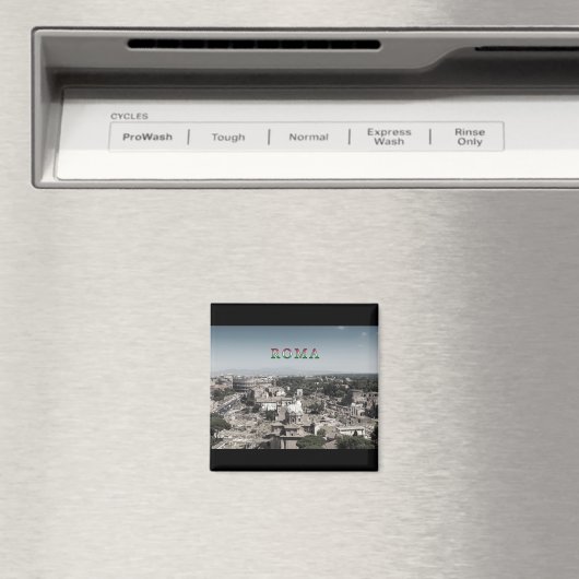 Rom #01M Magnet (In Situ (Geschirrspüler))