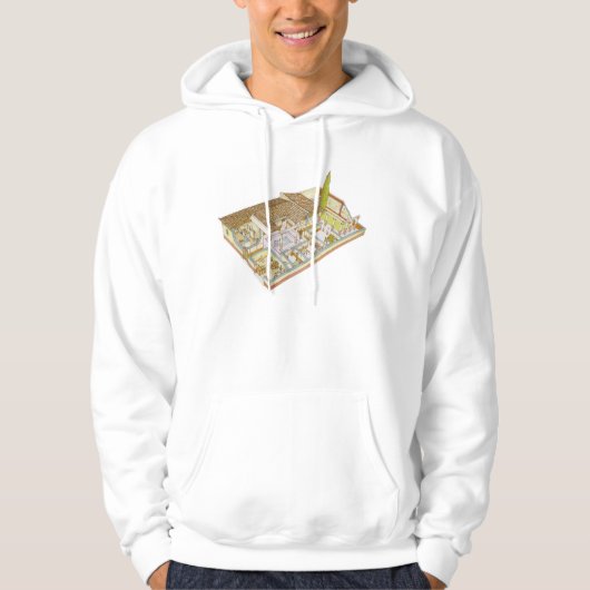Rom. Domus Hoodie (Vorderseite)