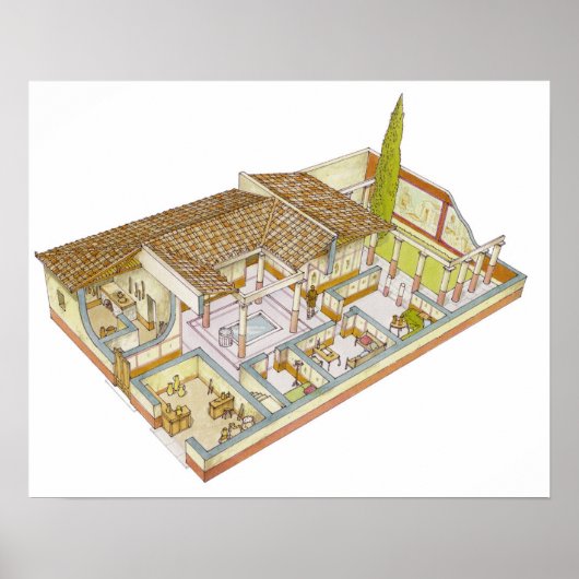 Rom. Domus Poster (Vorne)