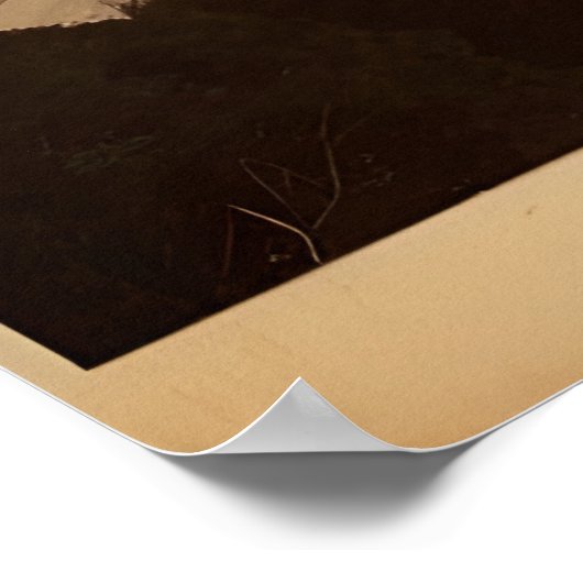 Rom-Vintage-Plakat Poster (Ecke)