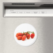 Roma Tomato Magnet (In Situ (Geschirrspüler))