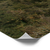 Roman Aquadukt Poster (Ecke)