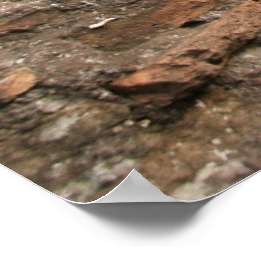 Roman Coliseum Poster (Ecke)