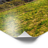 Roman Colosseum Arena Fotodruck (Ecke)