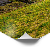 Roman Colosseum Sports Arena Poster (Ecke)