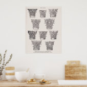 Roman Columns Corinthian Style Architektur Poster (Küche)