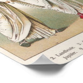 Roman Dress, from 'Trachten der Voelker', 1864 Poster (Ecke)