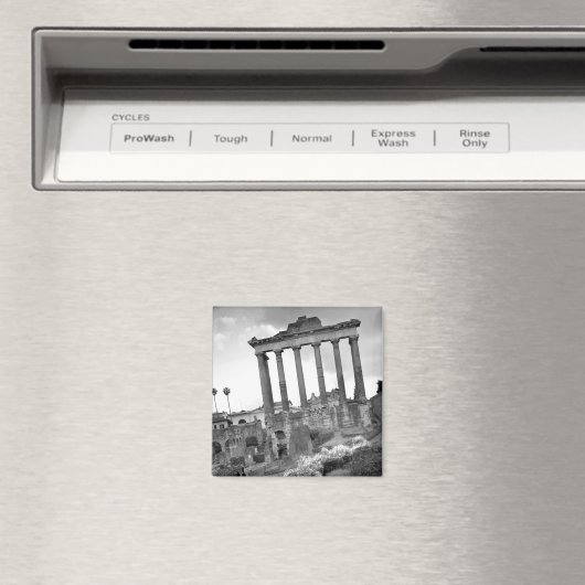 Roman Forum Magnet (In Situ (Geschirrspüler))