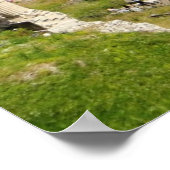 Roman Forum Poster (Ecke)