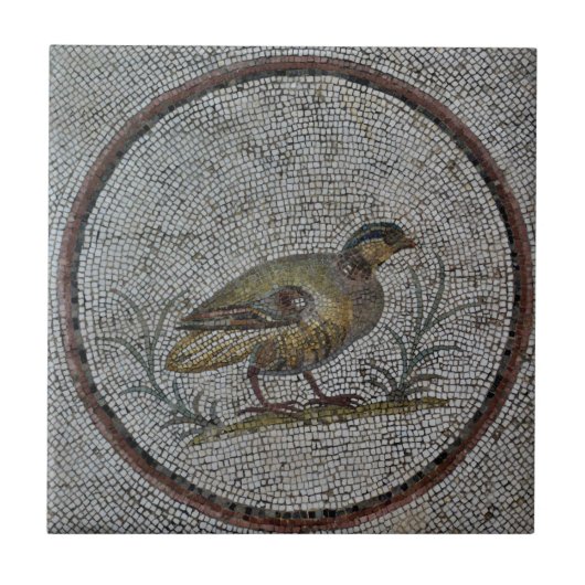 Roman Mosaics Keramik Tile, Small (4,25" x 4,25") Fliese (Vorderseite)