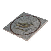 Roman Mosaics Keramik Tile, Small (4,25" x 4,25") Fliese (Seite)