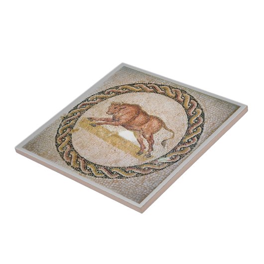 Roman Mosaics Keramik Tile, Small (4,25" x 4,25") Fliese (Seite)