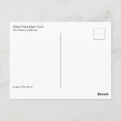 Roman Pool auf der Burg Hearst, Kalifornien Postkarte (Rückseite)