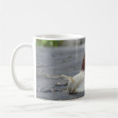 Roman Snail Bug Tasse (Links)