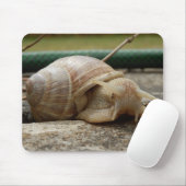 Roman Snail Mouse Mat Mousepad (Mit Mouse)