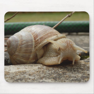 Roman Snail Mouse Mat Mousepad