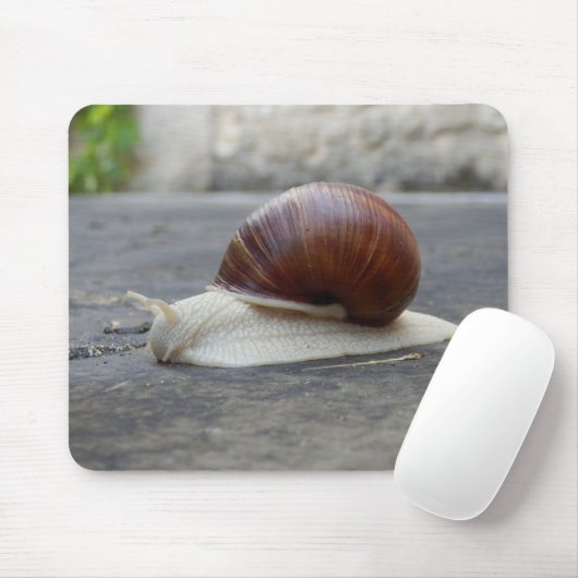 Roman Snail Mouse Mat Mousepad (Mit Mouse)