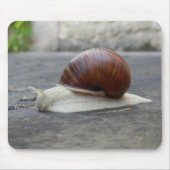 Roman Snail Mouse Mat Mousepad (Vorne)