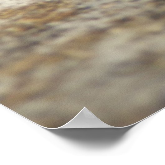 Roman Snail Poster (Ecke)