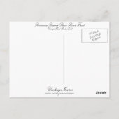 Romance Brand Peace River Fruit Postkarte (Rückseite)