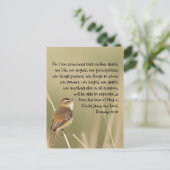 Romane 8:38 zur Inspirationsbibel-Bibelliteratur Postkarte (Stehend Vorderseite)