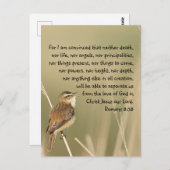 Romane 8:38 zur Inspirationsbibel-Bibelliteratur Postkarte (Vorne/Hinten)