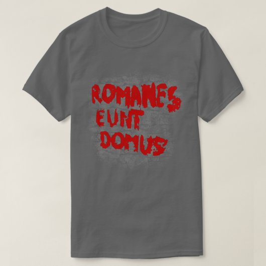 Romanes eunt domus T-Shirt (Design vorne)