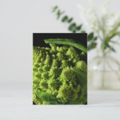Romanesco Broccoli Fraktale Postkarte (Stehend Vorderseite)