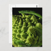 Romanesco Broccoli Fraktale Postkarte (Vorne/Hinten)