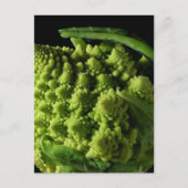 Romanesco Broccoli Fraktale Postkarte (Vorderseite)