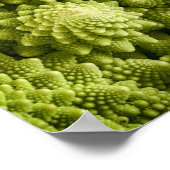 Romanesco broccoli nah poster (Ecke)