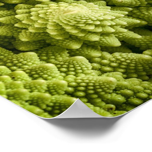 Romanesco broccoli nah poster (Ecke)