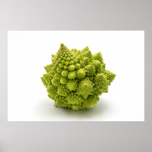 Romanesco broccoli poster (Vorne)
