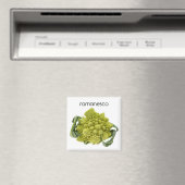 Romanesco Kühlschrank Magnet (In Situ (Geschirrspüler))